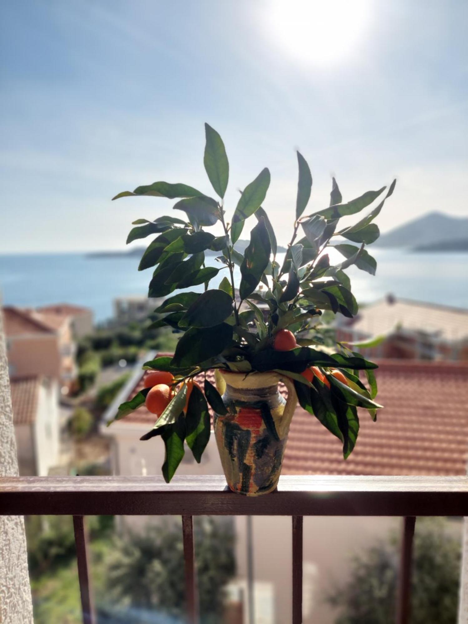Apartmani Dalex Budva Ngoại thất bức ảnh